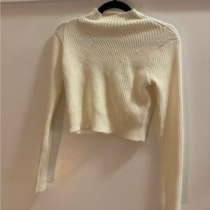 DYNAMITE Cropped long sleeve turtleneck knit